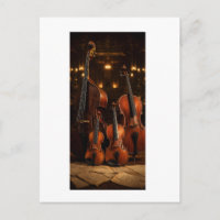 Orchestral Elegance: The Violin Family Stage Portr