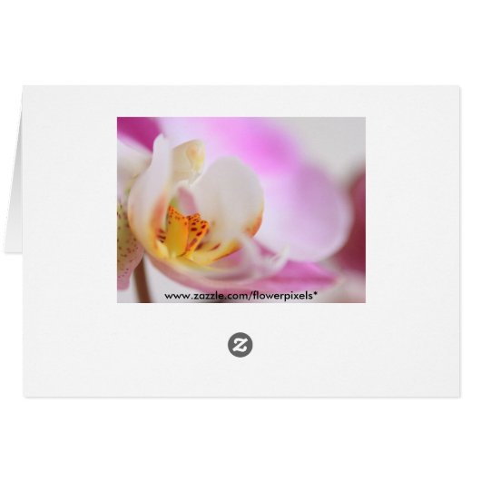 Orchid (Back Horizontal)