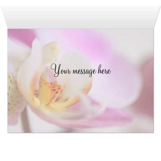 Orchid (Inside Horizontal (Bottom))