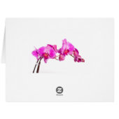 Orchid (Back Horizontal)