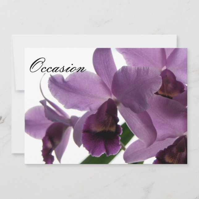 Orchid1 All-Occasion Invites/ Invitation (Front)