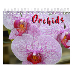 Orchid 12 Month Calendar
