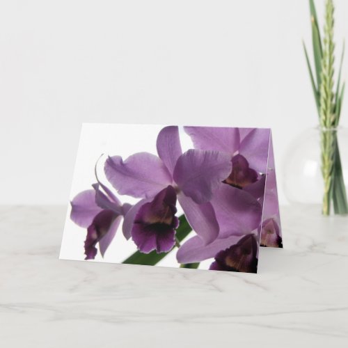 Orchid 1 All_Purpose GreetingInvitation Card