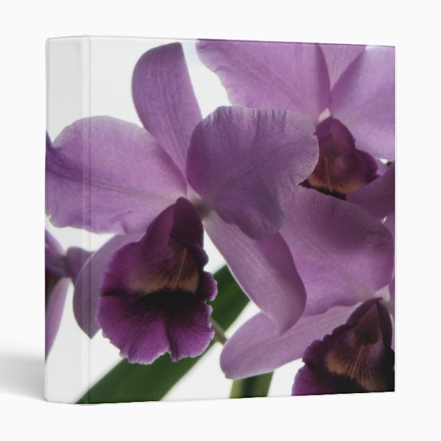 Orchid 1/ Avery Binder (Front/Spine)