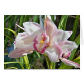 orchid 2 (Front Horizontal)