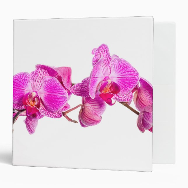 Orchid 3 Ring Binder (Front/Inside)