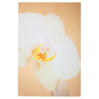 Orchid 8930 metal print