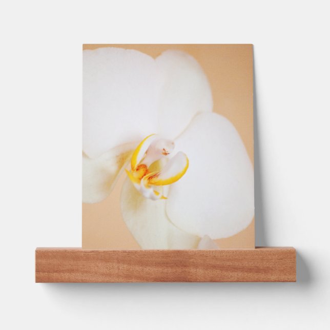 Orchid 8930 picture ledge (Front)
