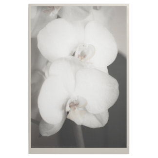 Orchid 8931 gallery wrap