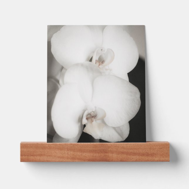 Orchid 8931 picture ledge (Front)