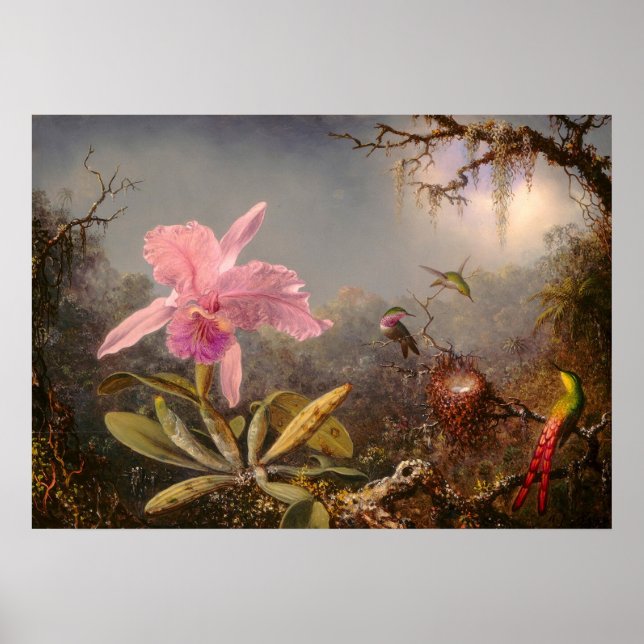 ORCHID AND THREE HUMMINGBIRDS POSTER (Front)