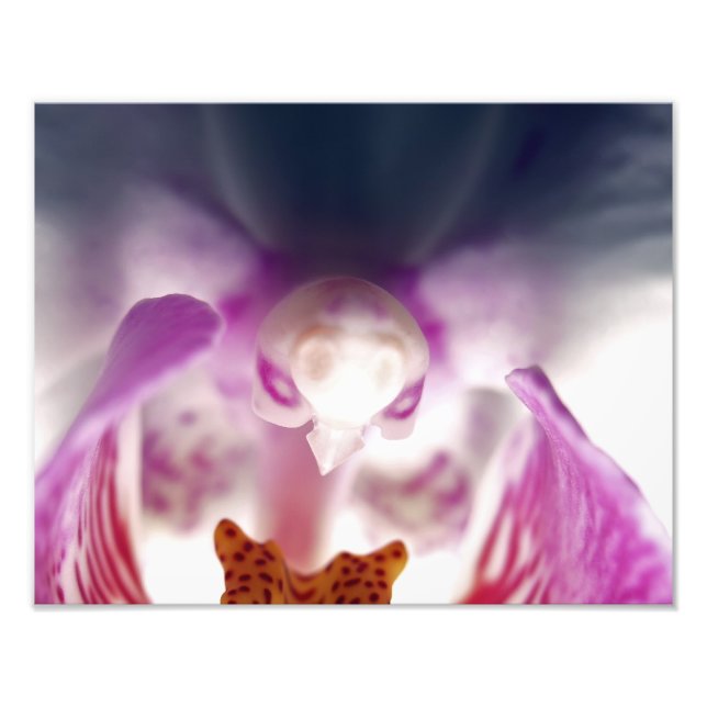 Orchid Apparition Photo Enlargement (Front)