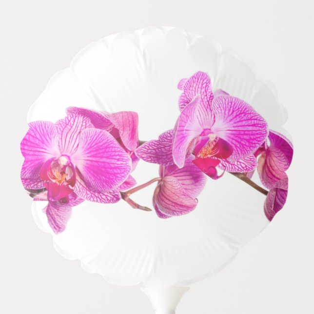 Orchid Balloon (Front)