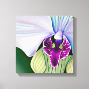 Orchid Beauty Canvas Print