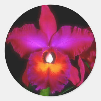 Orchid Beauty Classic Round Sticker