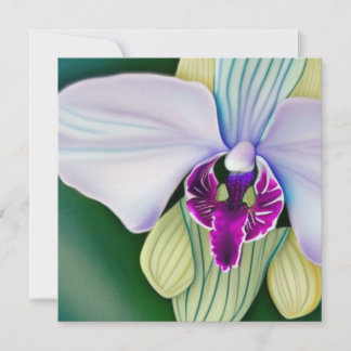 Orchid Beauty Holiday Card