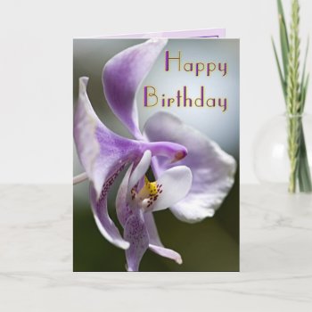 Orchid Birthday Card by LivingLife at Zazzle