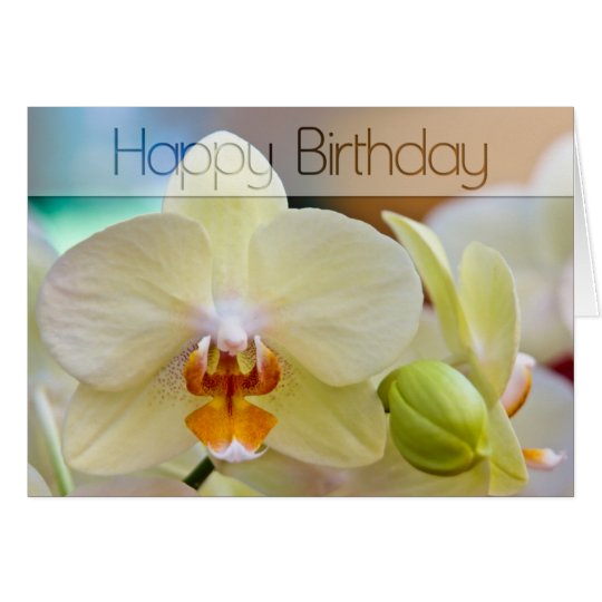Orchid • Birthday Card