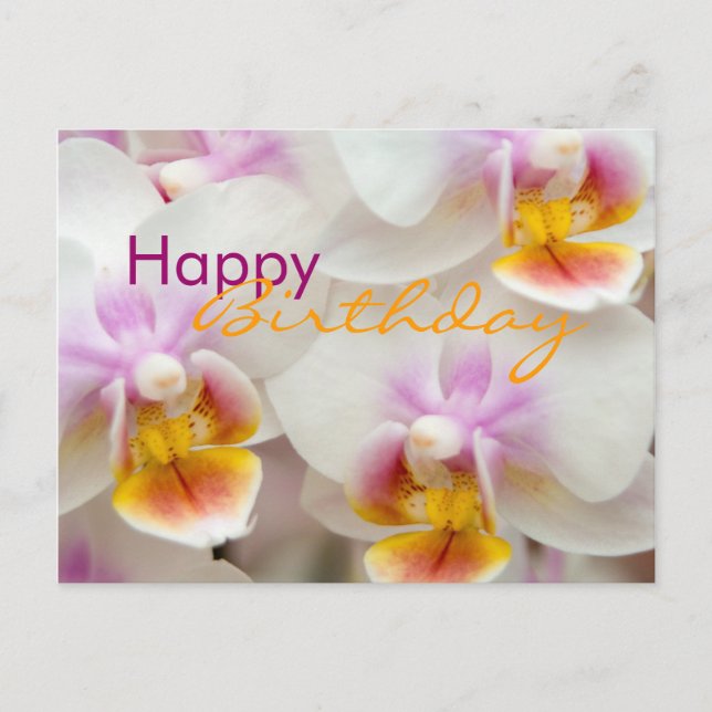 Orchid • Birthday Postcard (Front)