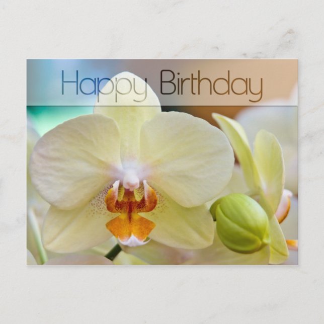 Orchid • Birthday Postcard (Front)
