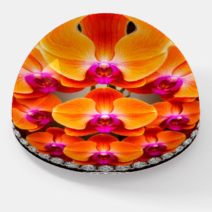 Orchid Blossoms Embedded in Crystals Paperweight