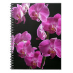 Orchid Blossoms Notebook