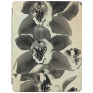 Orchid Blush Panels IV iPad Smart Cover
