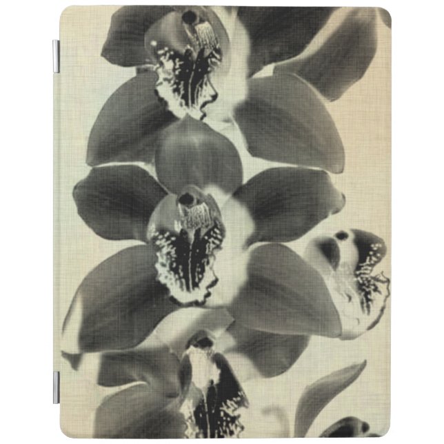 Orchid Blush Panels IV iPad Smart Cover (Front)