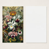 Orchid Botanical Print (Front & Back)