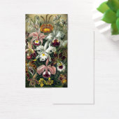 Orchid Botanical Print (Desk)