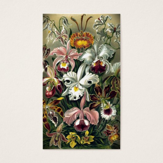 Orchid Botanical Print (Front)