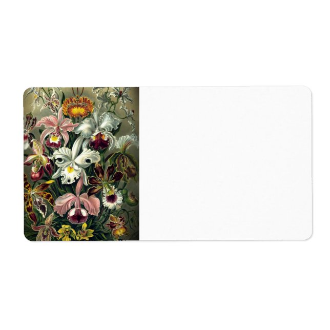 Orchid Botanical Print Label (Front)