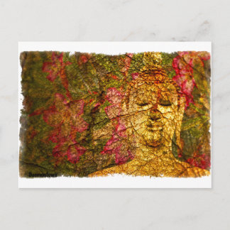 Orchid Buddha Postcard