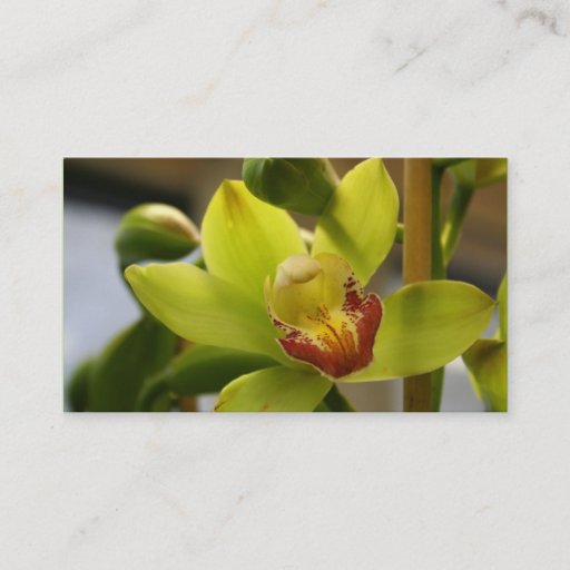 Customizable Orchid Business cards