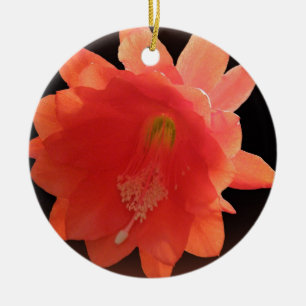 Orchid Cactus - Epiphyllum Ackermannii - Blossom Ceramic Ornament