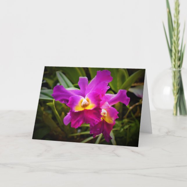 Orchid, card (Front)