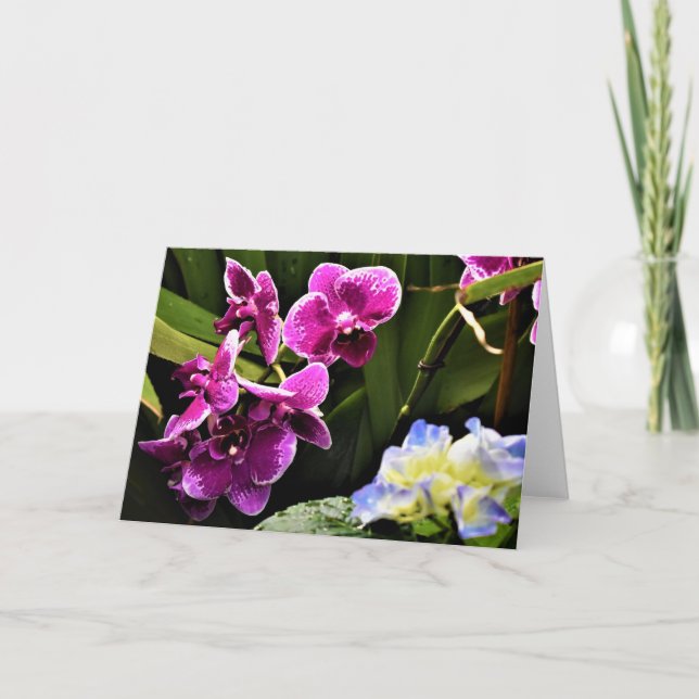 Orchid, card (Front)
