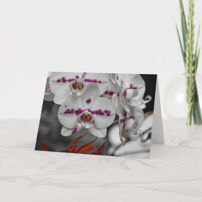 Orchid, card (Front)