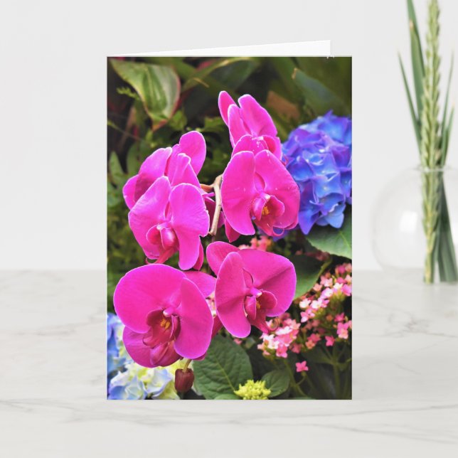 Orchid, card (Front)
