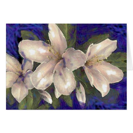Orchid Cards (Front Horizontal)