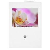 Orchid Cards (Back)