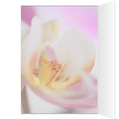 Orchid Cards (Inside (Left))