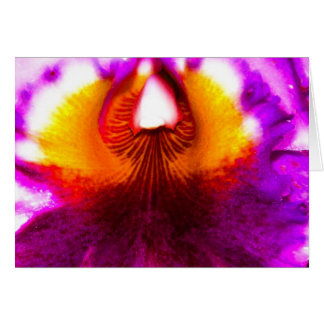 Orchid Cards