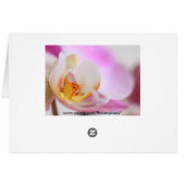 Orchid Cards (Back Horizontal)