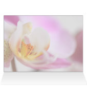 Orchid Cards (Inside Horizontal (Top))