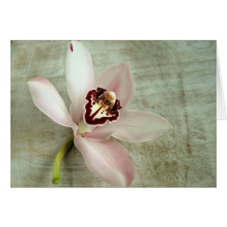 Orchid Cards