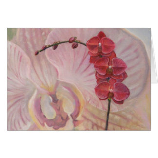 Orchid Cards