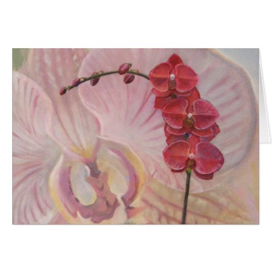 Orchid Cards (Front Horizontal)