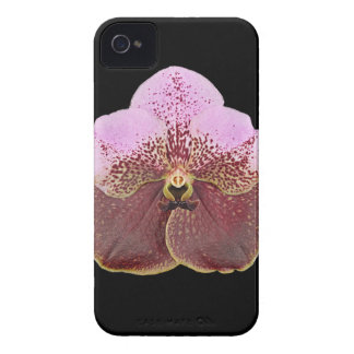 Orchid Cell Phone Case, iPhone 4 iPhone 4 Case-Mate Case