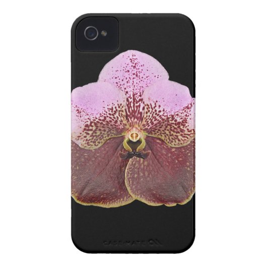 Orchid Cell Phone Case, iPhone 4 Case-Mate iPhone Case (Back)